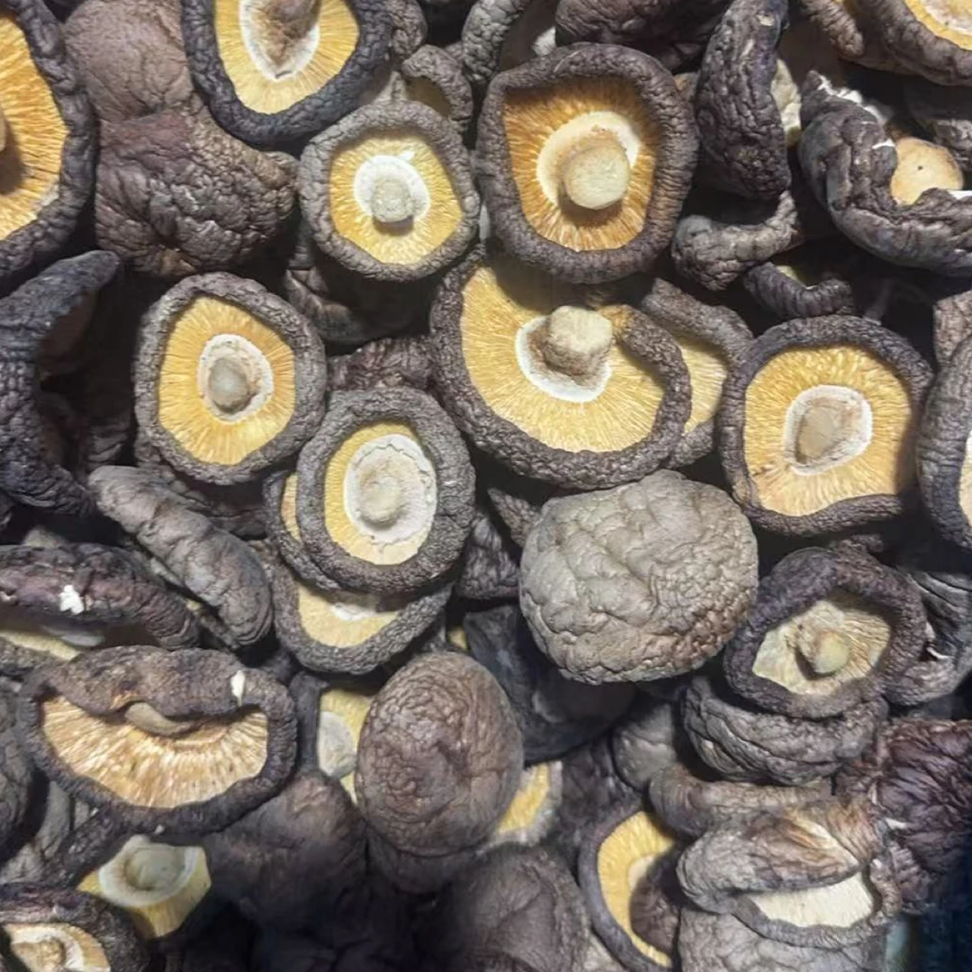 香菇3斤装整朵蘑菇饭店专用正宗干货煲汤炒菜