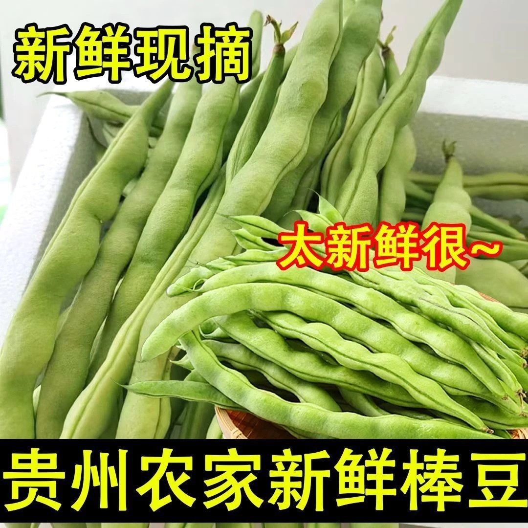 云南农家新鲜棒豆四季豆芸豆豆角自种扁豆刀豆现摘蔬菜时令蔬菜