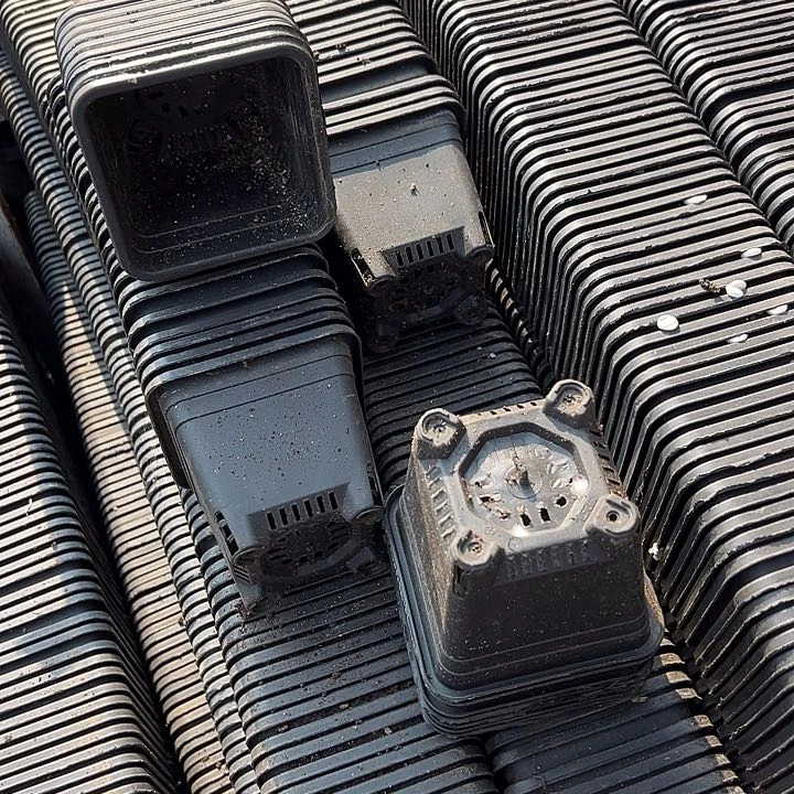 黑方口径9.5高9发40个