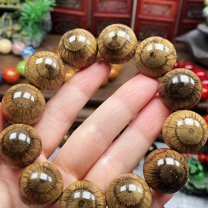 风***泪手串/手链藤类买麻藤