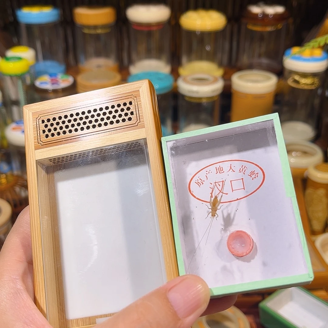 蟋蟀老竹黄蛉盒+大黄蛉