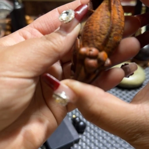 维腊木（绿檀）童***光