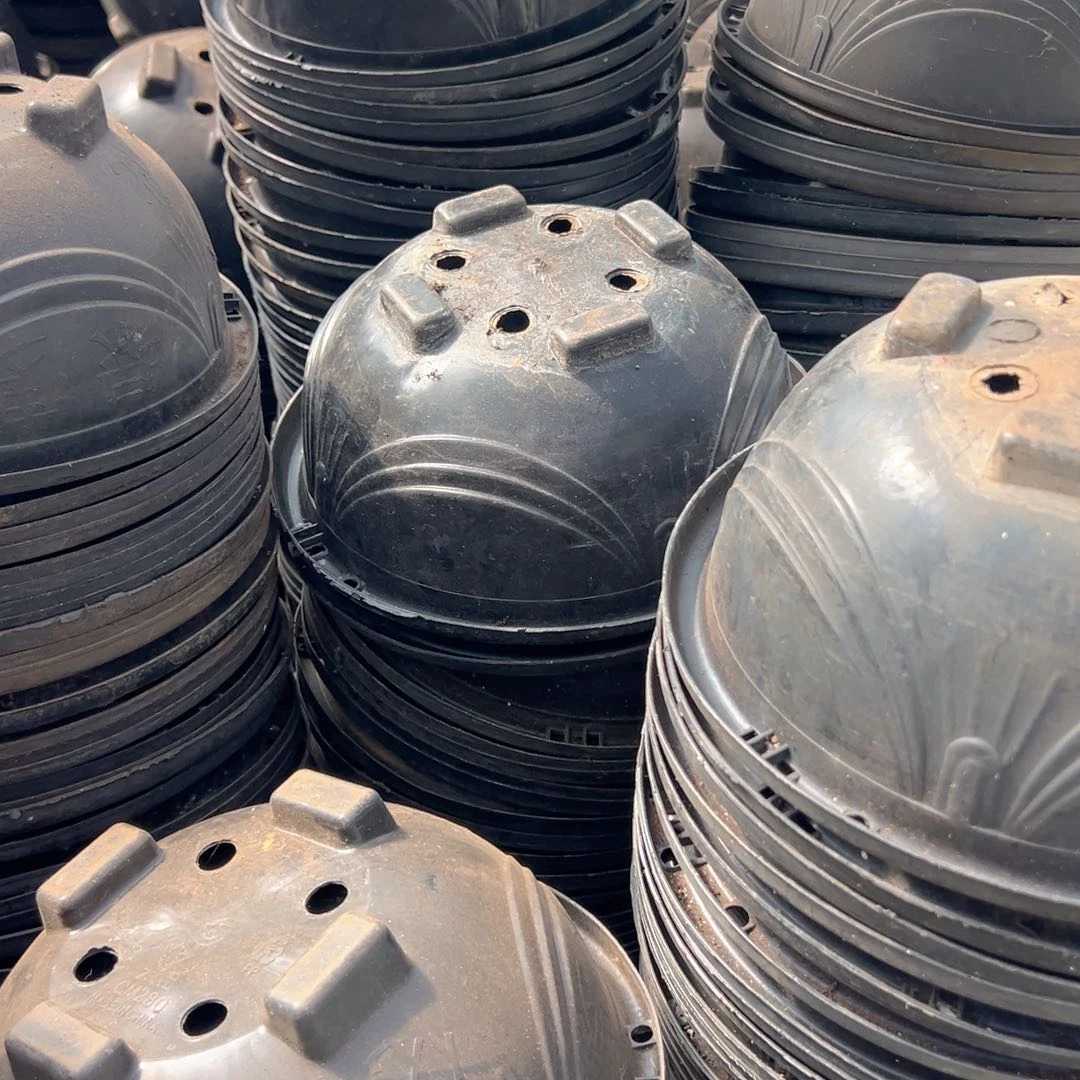 黑吊兰盆27口径13高 10个