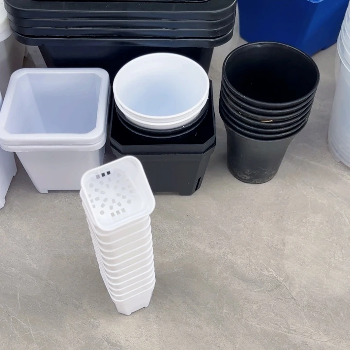 白方口4高4一组50个