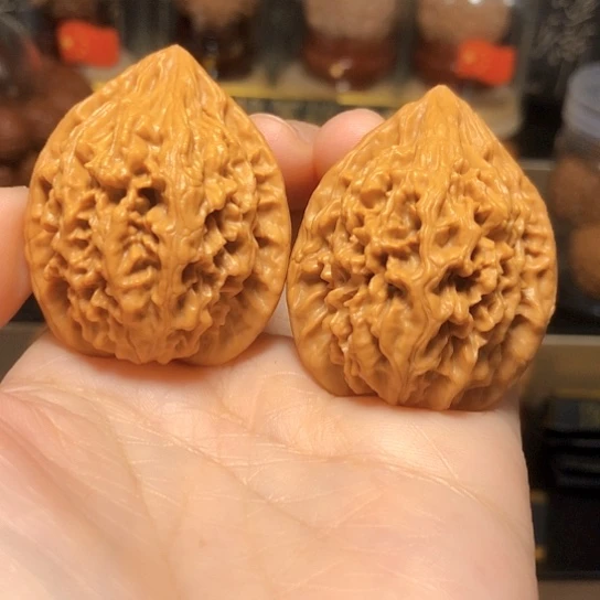 秦岭野核：精品秦鸡