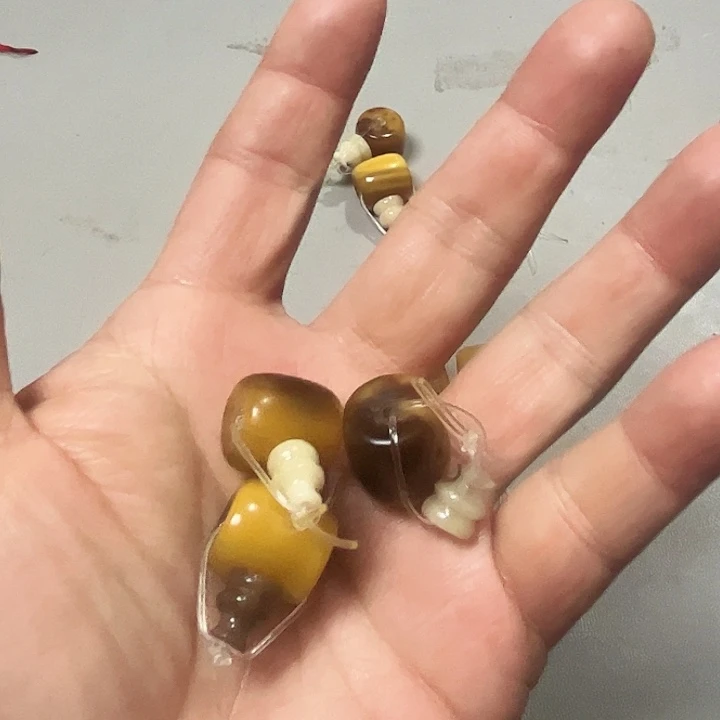 大果紫檀（缅甸花梨）