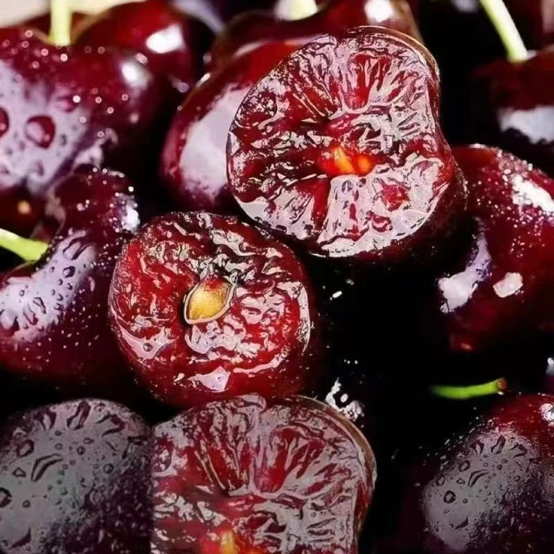 【净重5斤原箱】智利黑车厘子 桑缇娜4JD果王 空运新鲜内附果径卡S1