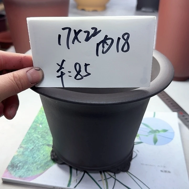 紫砂2222222222222222