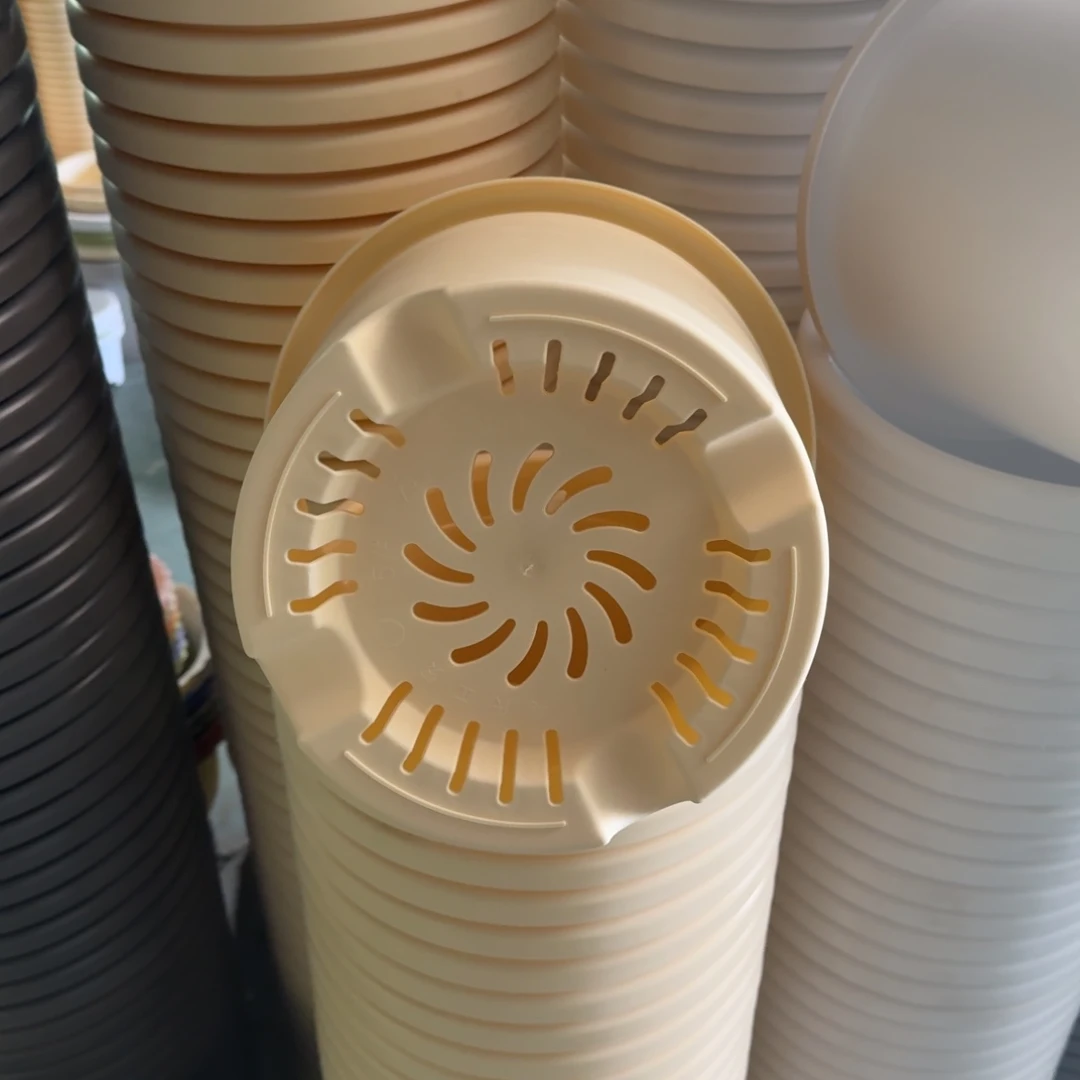 四季5号5个米黄色口径29高25