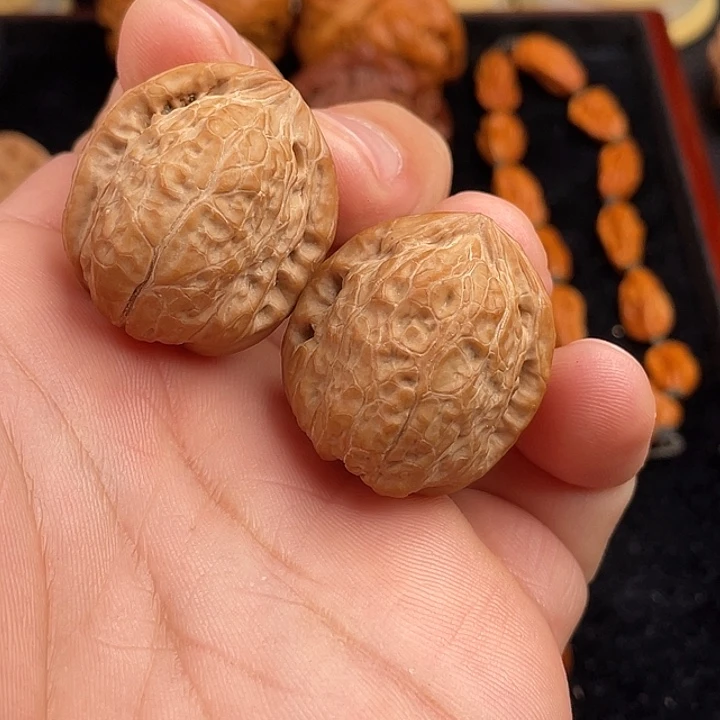 流***雨28头货另类南瓜核桃