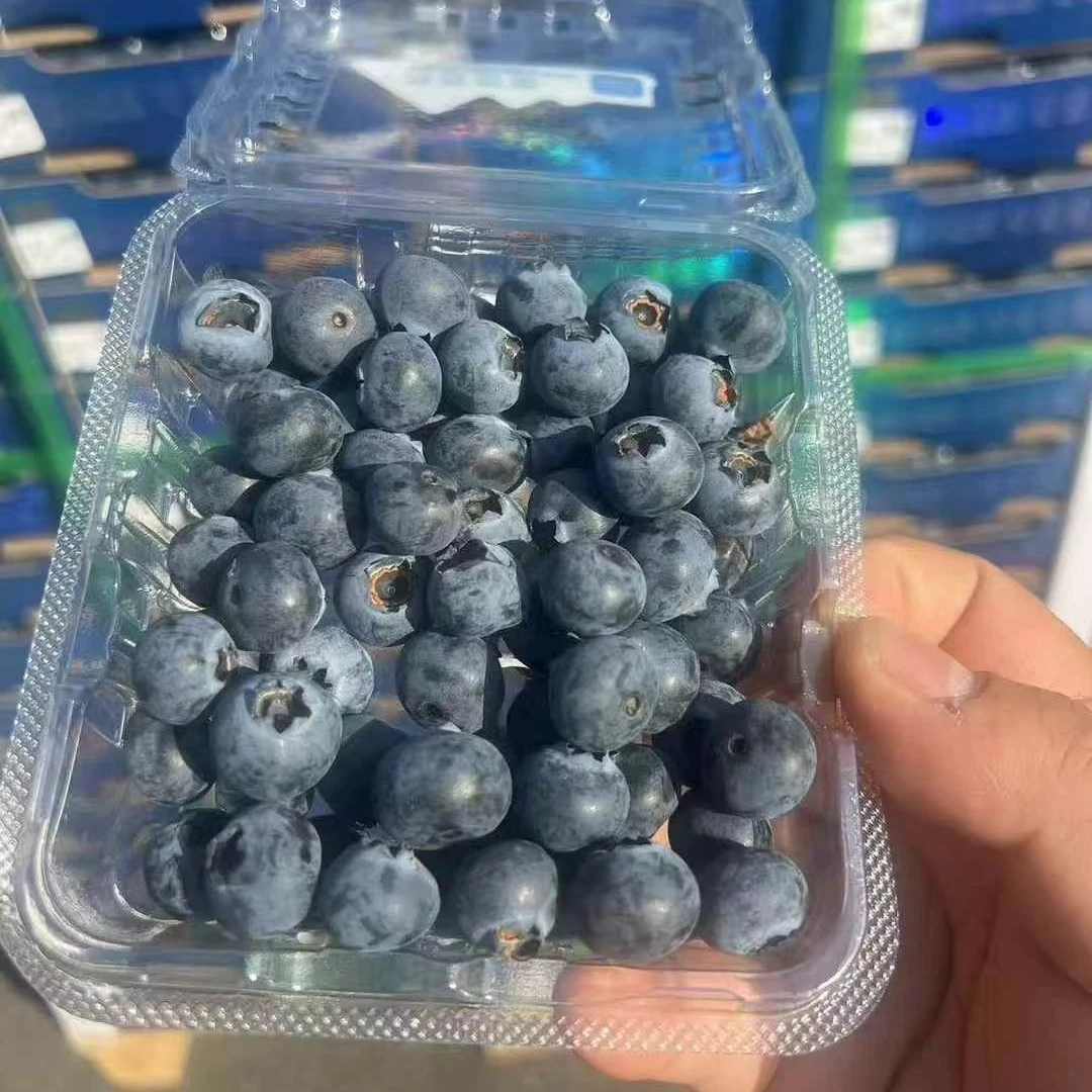 云南枝冠小糖豆花香纯甜蓝莓二盒12mmGL25云南省