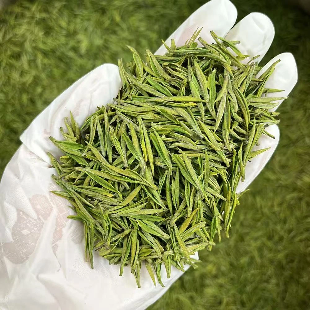 2025年新茶白茶小嫩芽安吉溪龙原产地茶叶头采(3A)W高山绿茶白茶