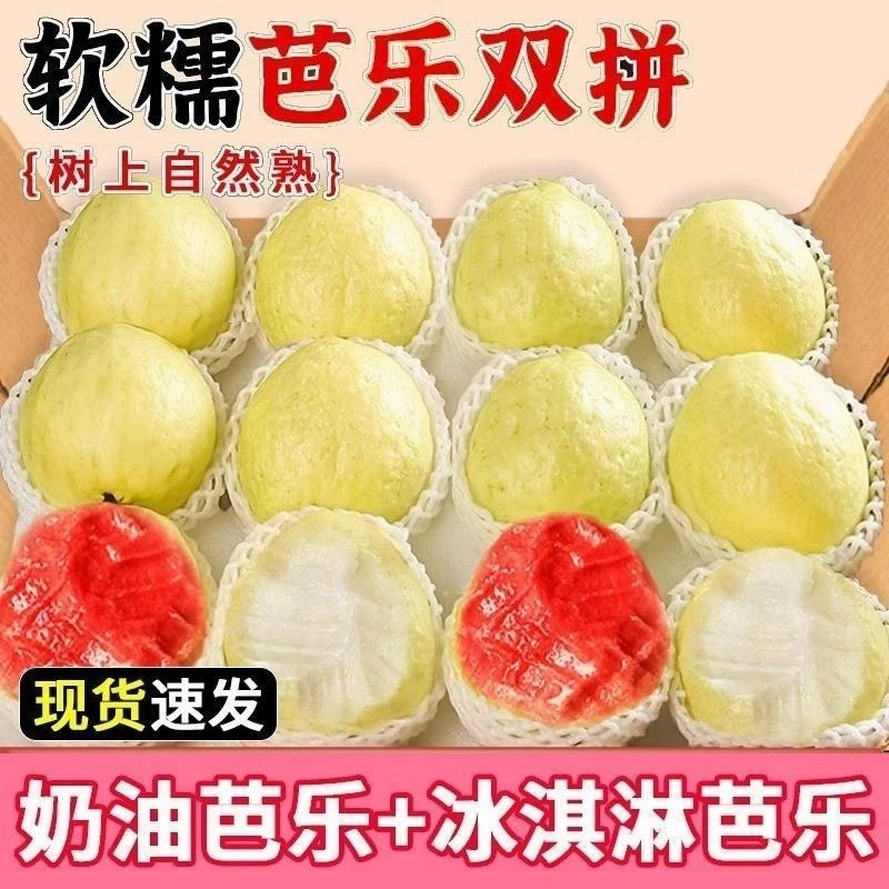 【产地包邮直发】 奶油白芭乐软糯香甜红心芭乐冰淇淋般口感水果