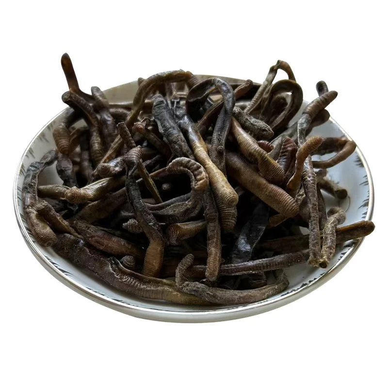 野生青蚯蚓干天然晾晒未破肚黄鳝泥鳅专用饵料