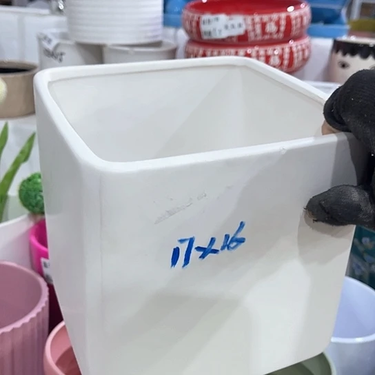 多肉绿植陶瓷花盆