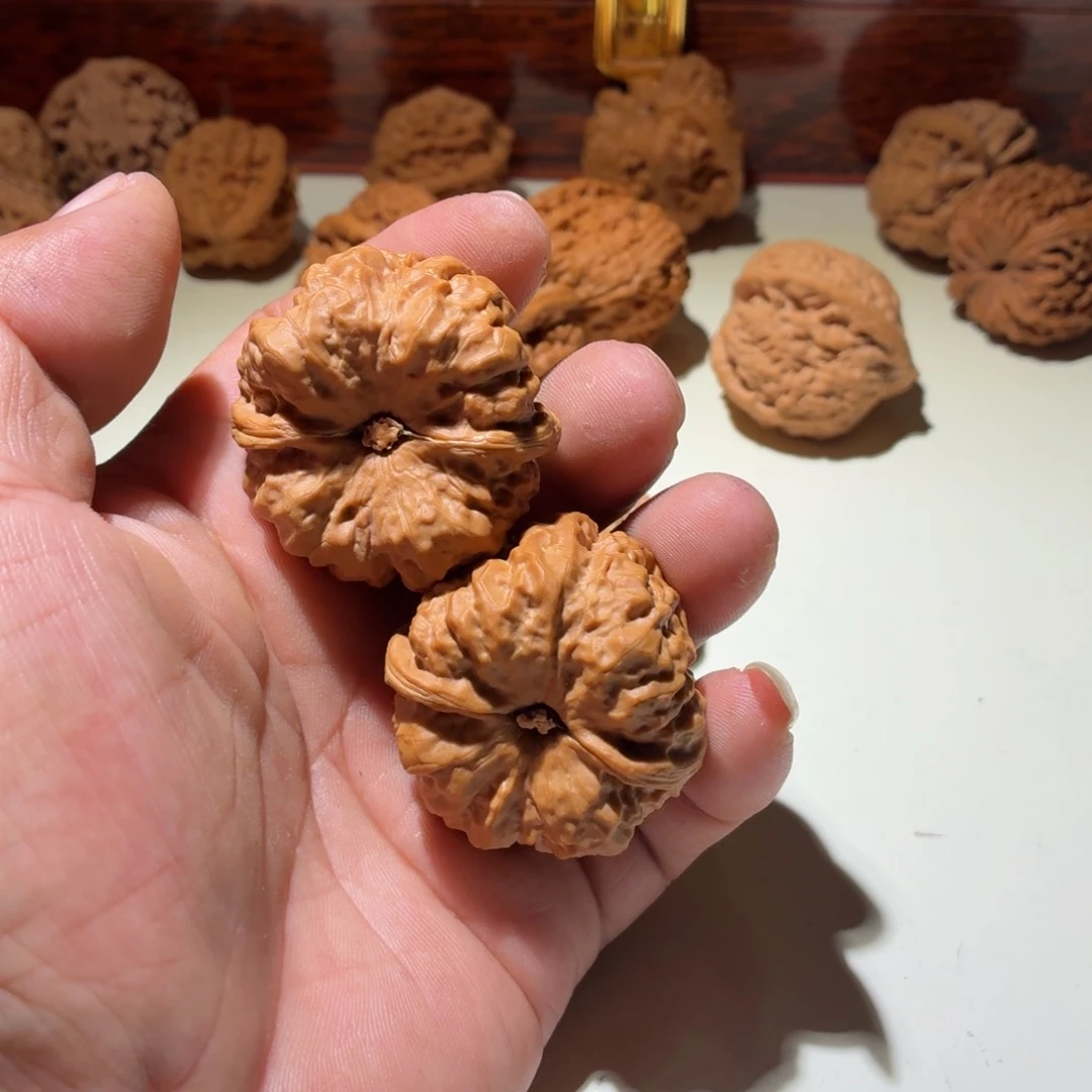 文玩核桃把件康**rha ma tou