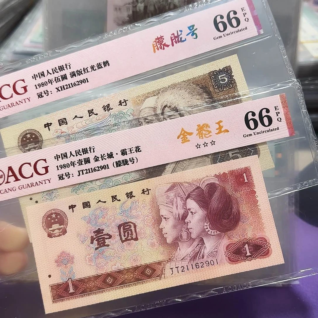 纸21162901。。。朦胧号2张全同号