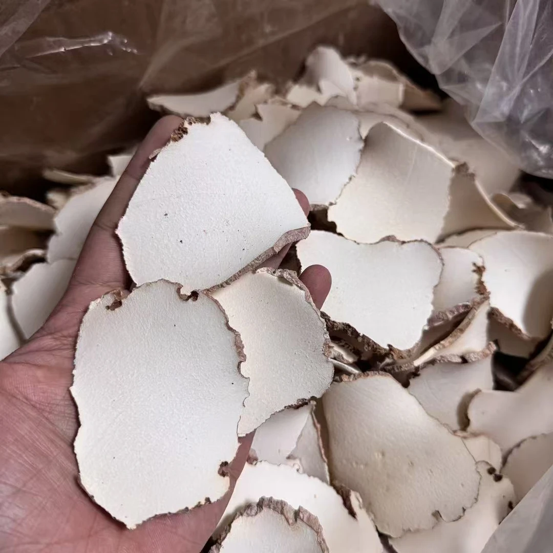 【吴哥同款】虎奶片 煲汤好物（散装农产品）