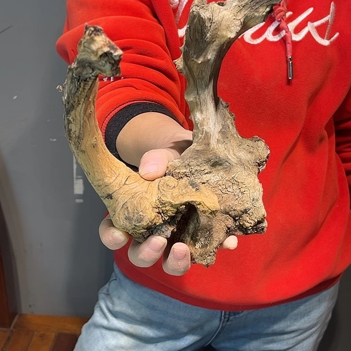 语***间香榧木好想要这个