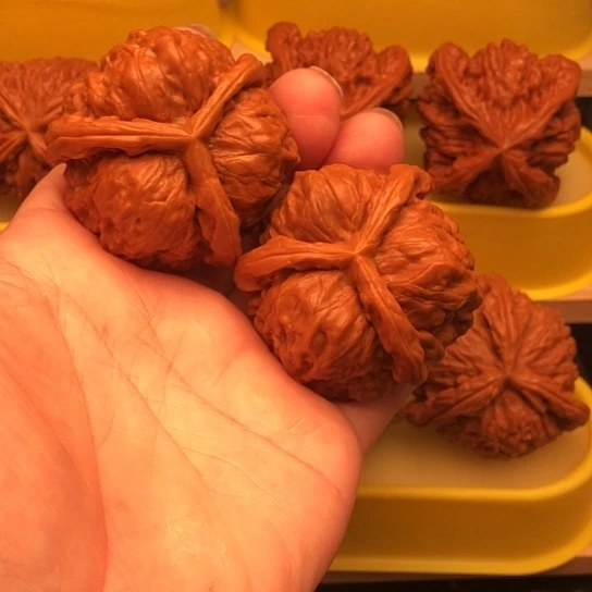 七***公核桃核桃核桃核桃核桃