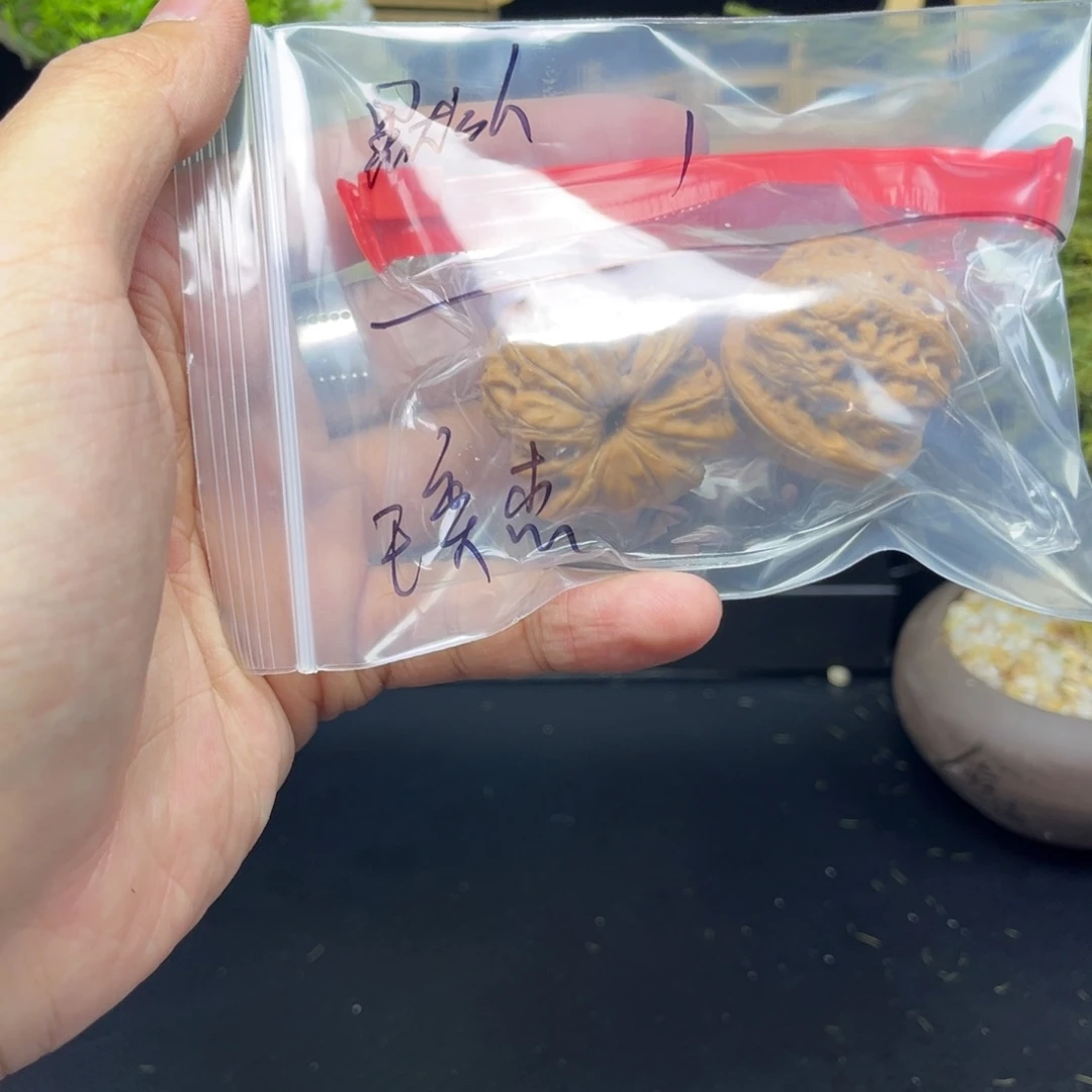 文玩核桃吊坠王*杰元宝