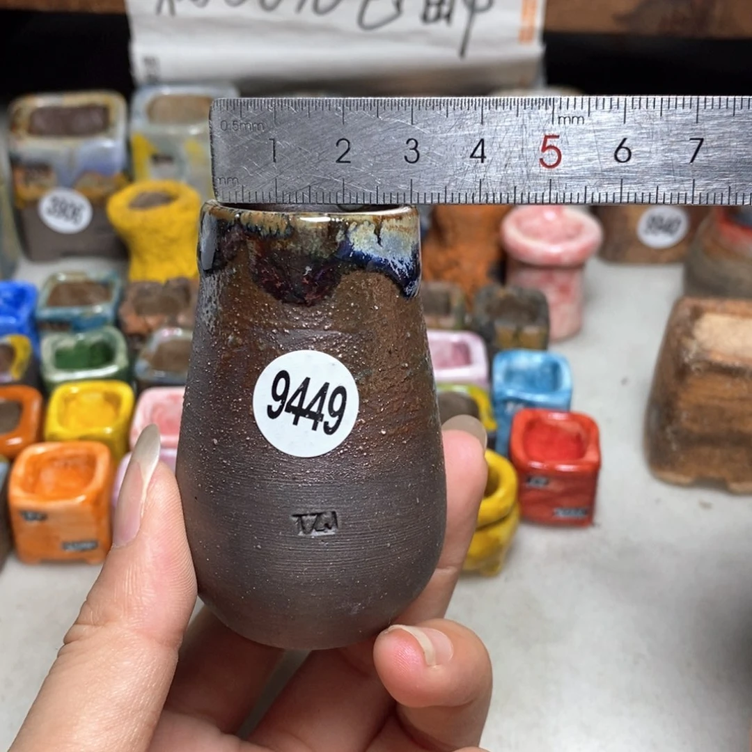 拍5送一个小礼物