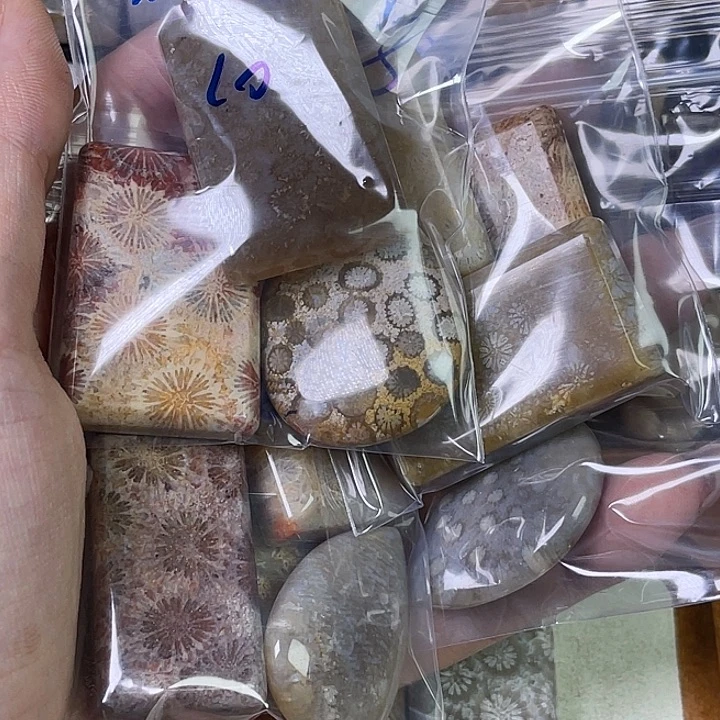 硅化珊瑚（珊瑚玉）珠宝金石合金家****！