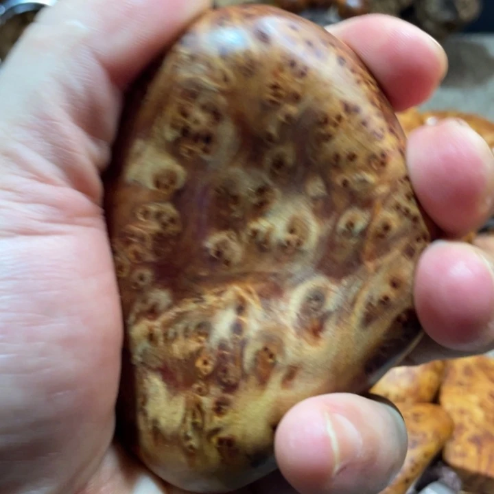 柏木（崖柏）其他把