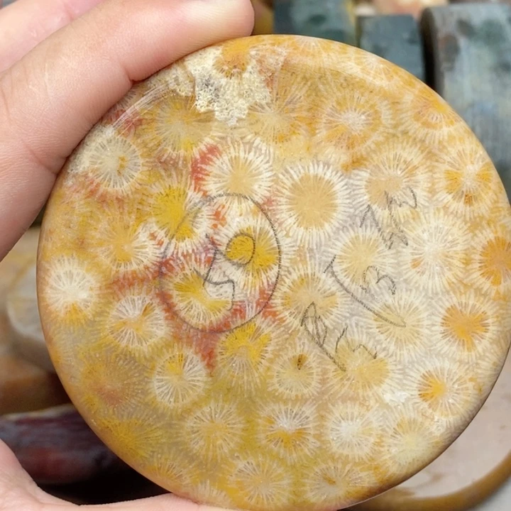 聂***）硅化玉颈饰未镶嵌