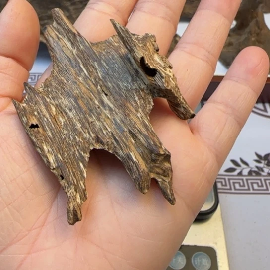 沉香摆件香港沉年虫漏4.8克