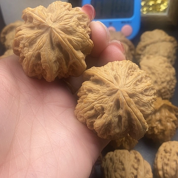 快***乐龙脊菩提吊坠粗筋48水尖
