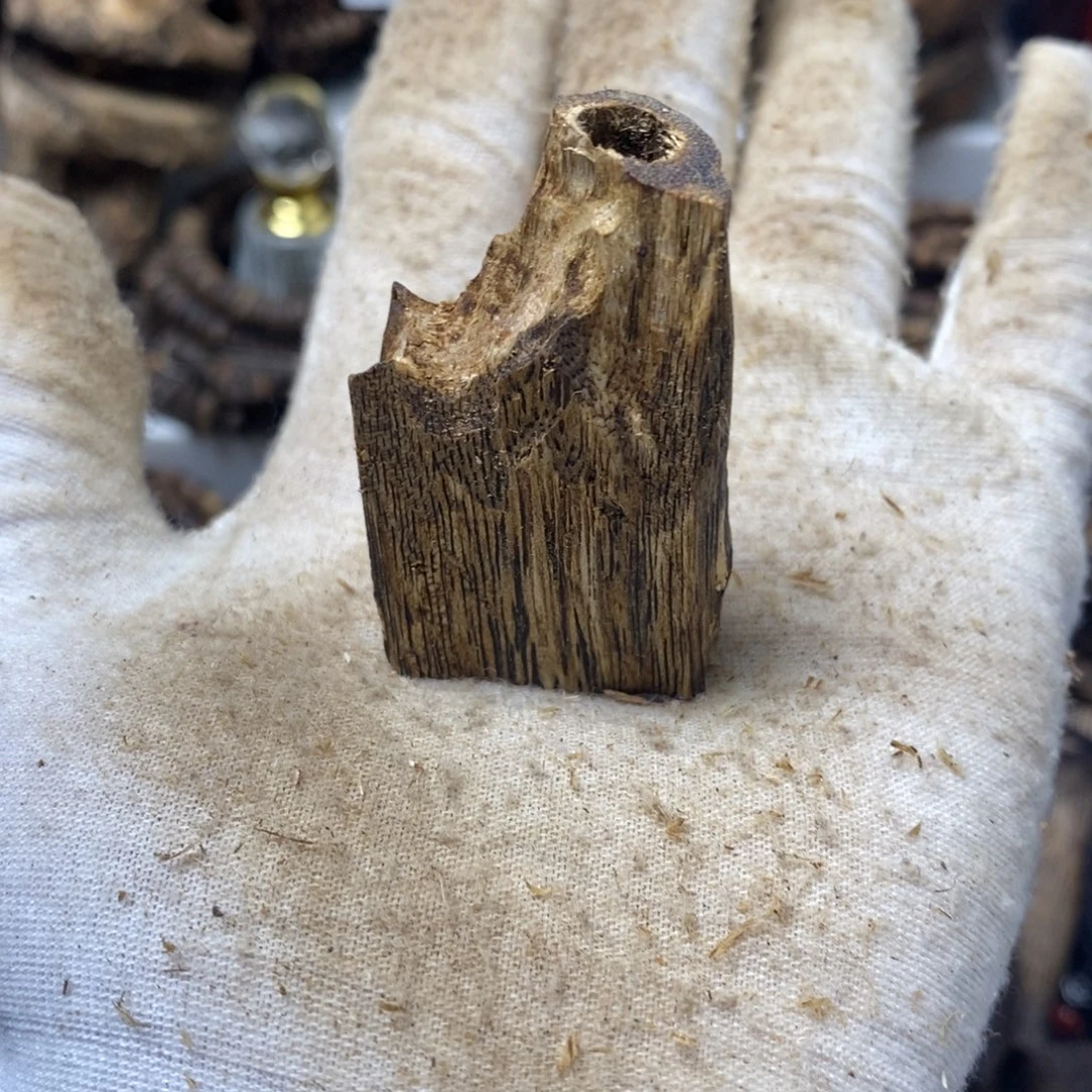 沉香沉香碎屑天然虫8