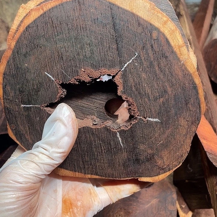 陇***通木印度小叶紫檀木