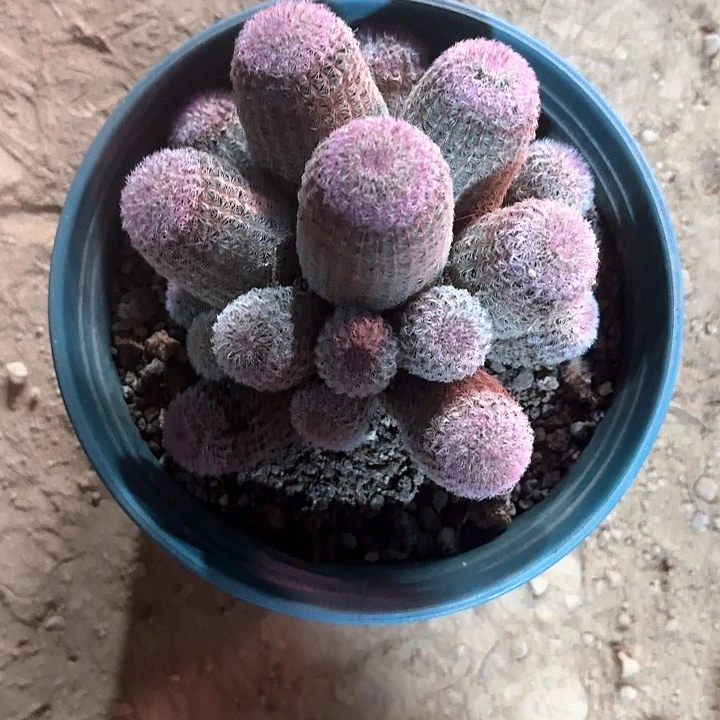 情****5哈哈哈哈哈哈哈