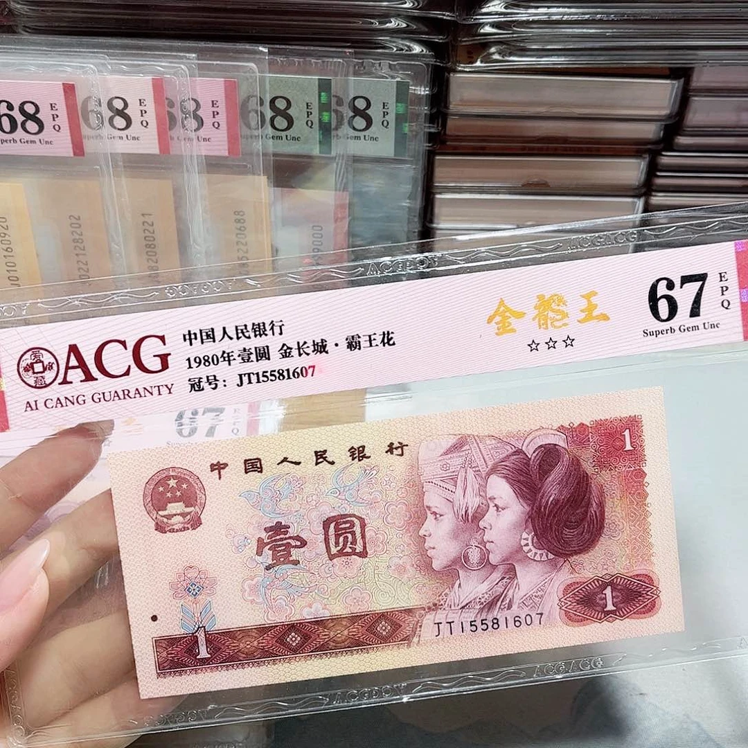 15581607。。。金龙王