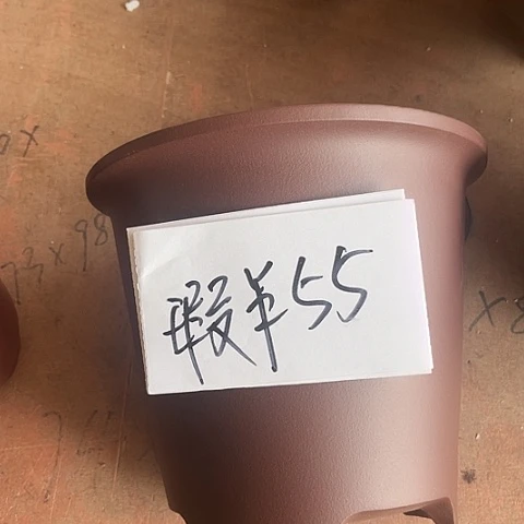 紫砂2856955856855885