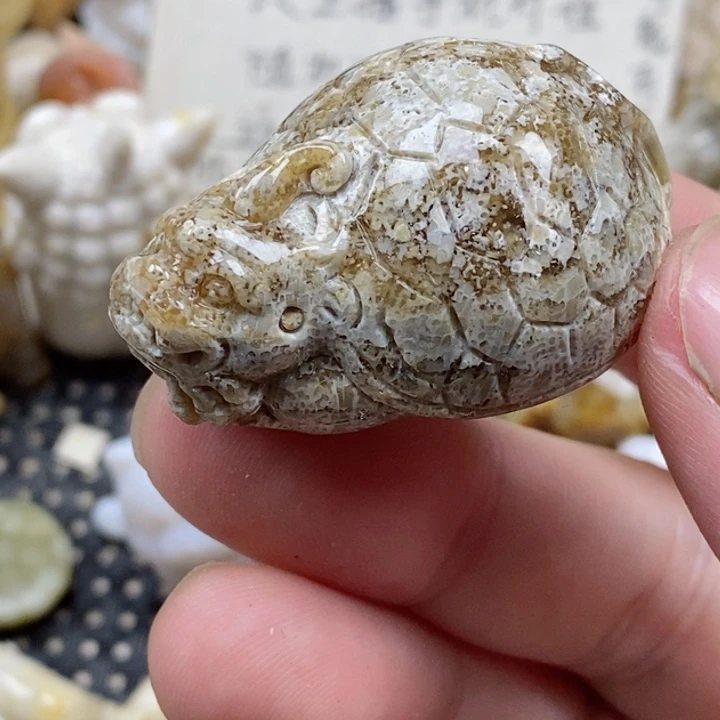 颈饰未镶嵌硅化珊瑚（珊瑚玉）