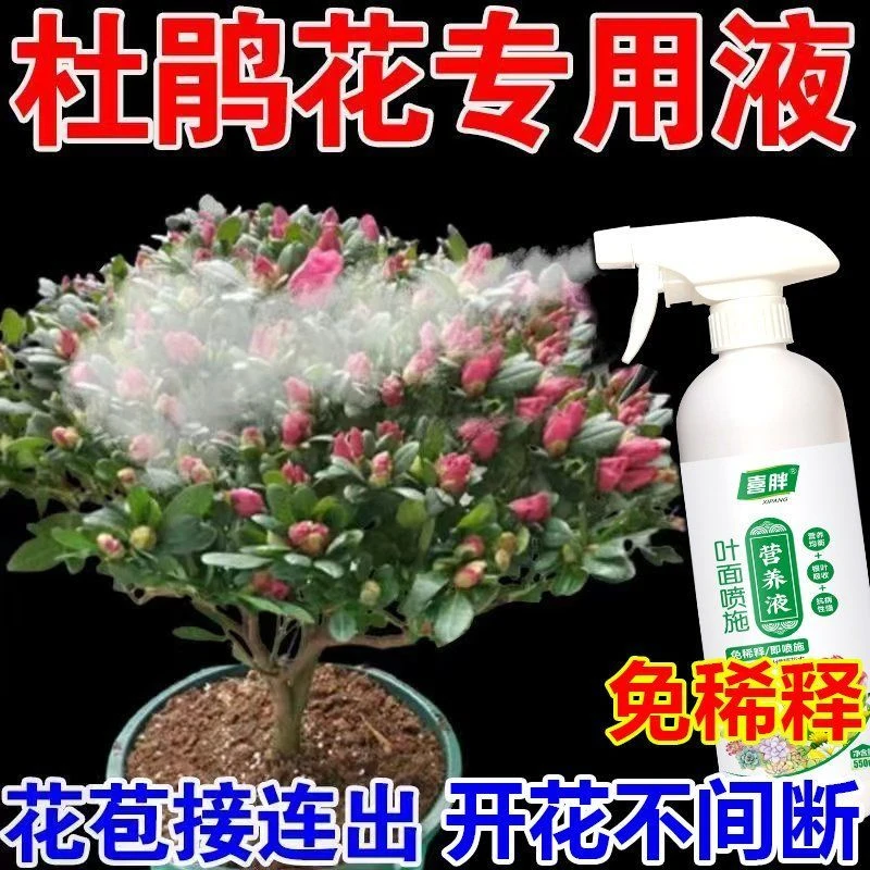 杜鹃花专用免稀释营养液四季开花防黄叶掉叶促开花养花肥料有机肥