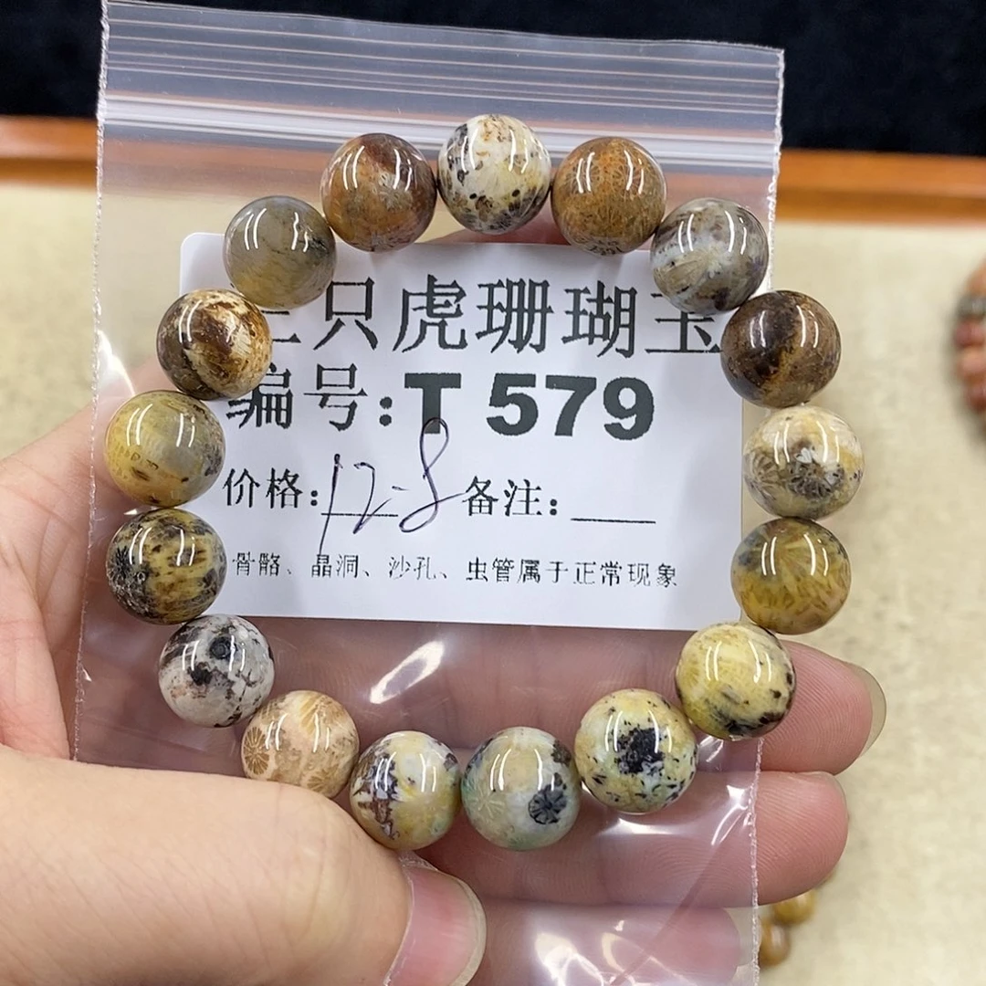 硅化珊瑚（珊瑚玉）1未镶嵌九*月