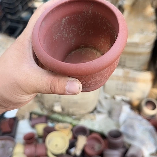 我想和我朋友在一块吃晚饭