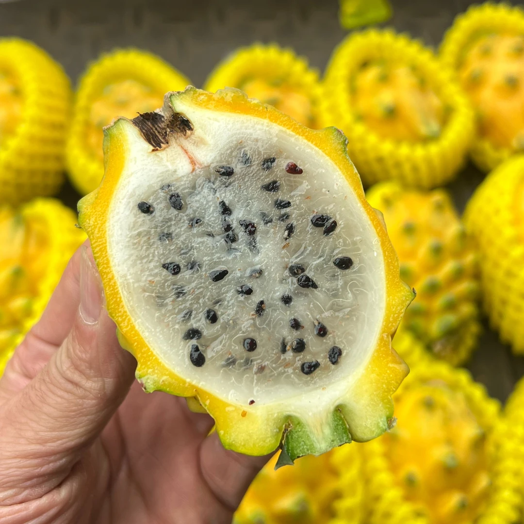 海南燕窝果当季新鲜黄皮白心麒麟果口感细腻清甜可口只发川渝