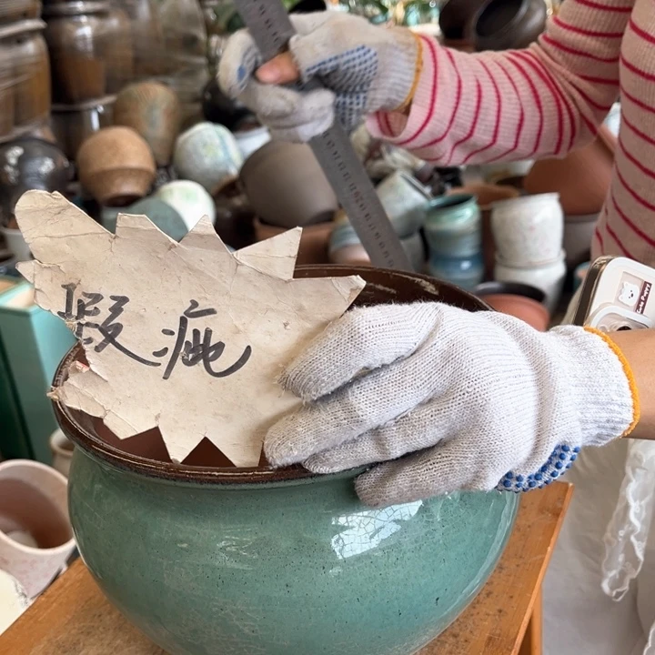 微瑕高19 口26。