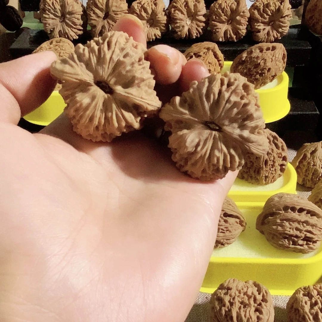 木质类今天是不是又