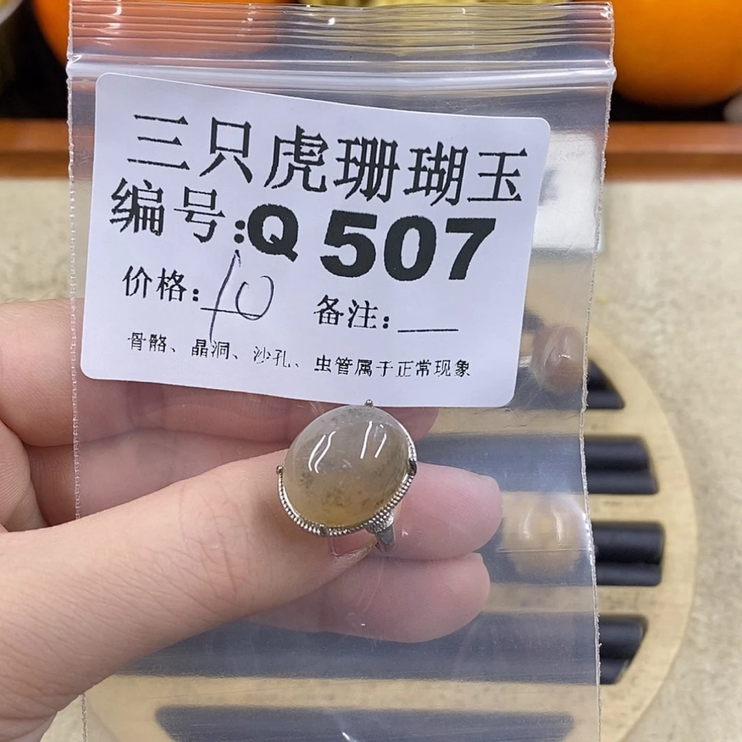 硅化珊瑚（珊瑚玉）1未镶嵌老*