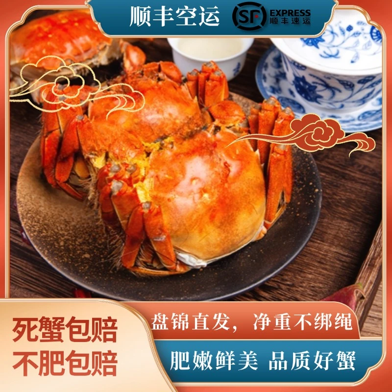 【活蟹】正宗盘锦河蟹特惠送礼全母蟹2两规格6/8/12/16只