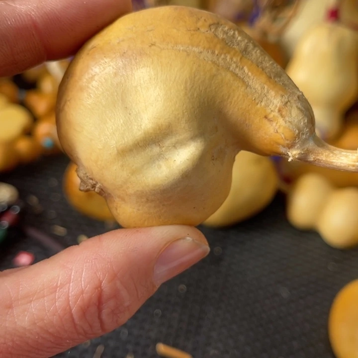 友****葫芦葫哈哈哈哈哈哈哈哈