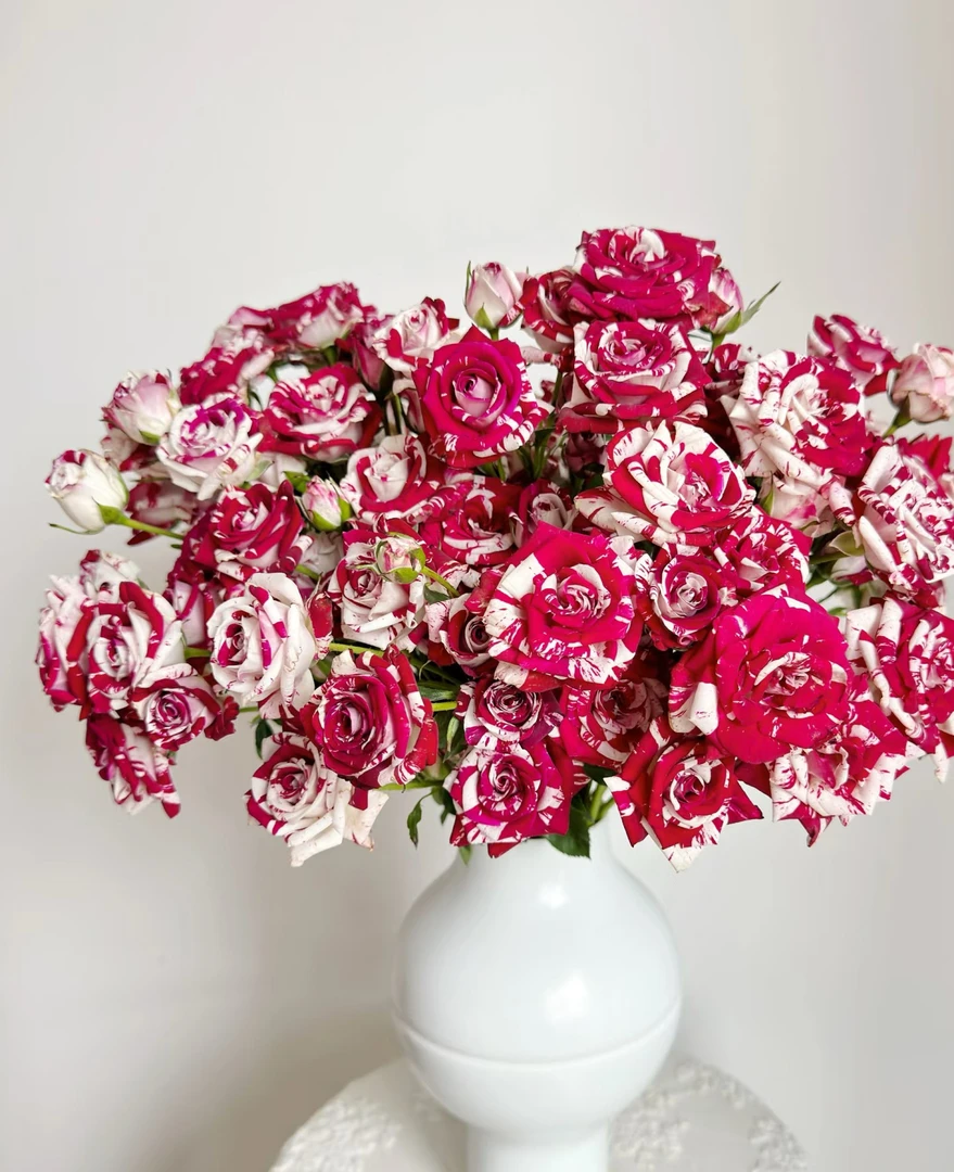 花花 鸳鸯泡泡玫瑰18支+2支防损 一单包邮云南直发