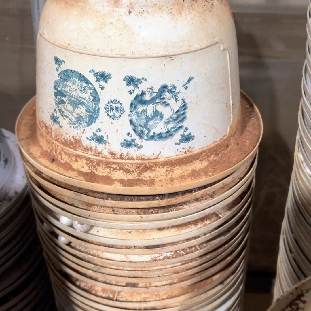 富贵花开盆21口径11高 20个