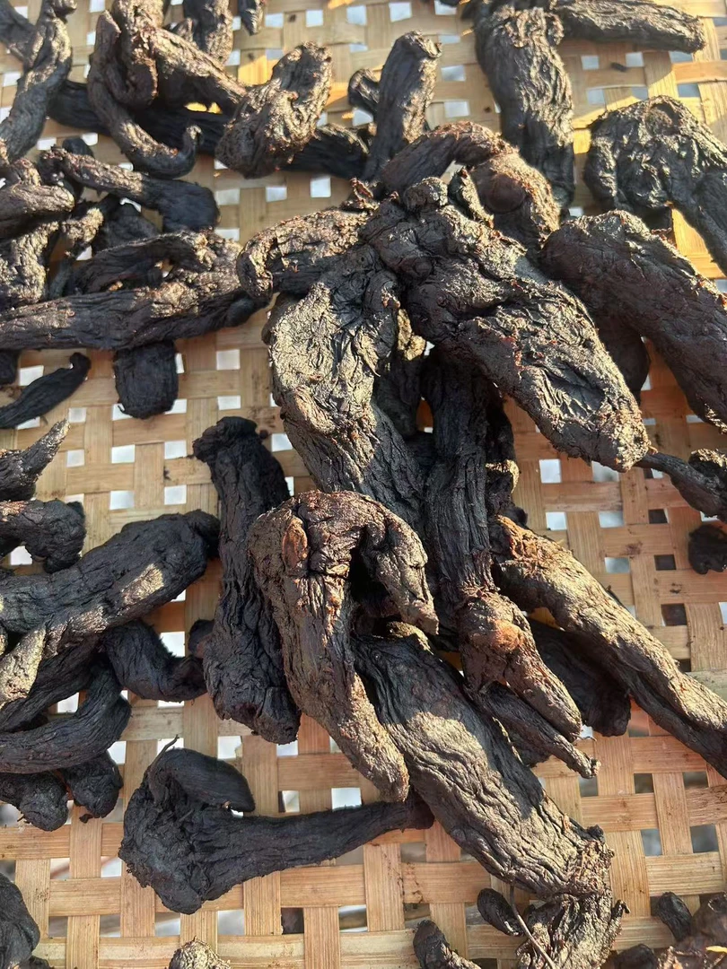 仙人余粮 九蒸九晒 土法炮制