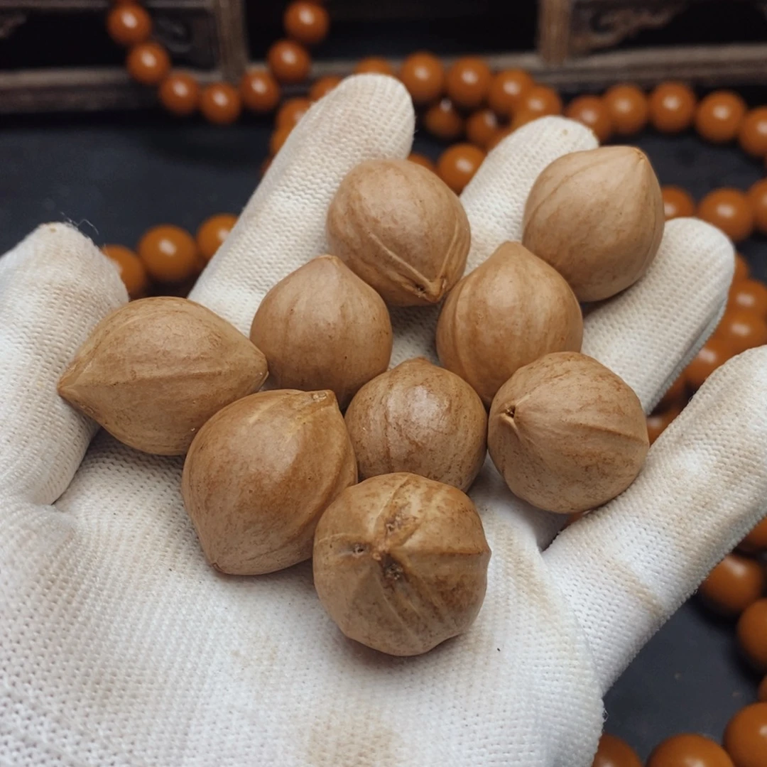 橄榄核手串/手链2.1X2.6尺寸树王原料